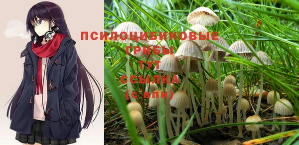 марихуана Белокуриха