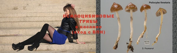 марихуана Белокуриха