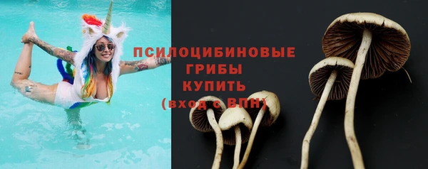 спайс Беломорск