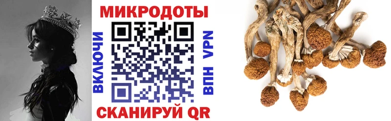 Купить Октябрьск Галлюциногенные грибы прущие грибы